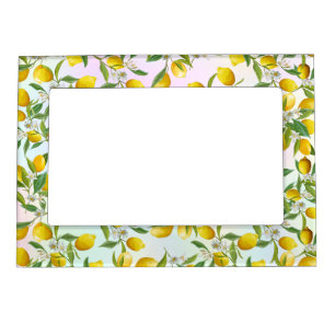 Tropical Citrus summer fresh Orange lemon Slice Magnetic Frame