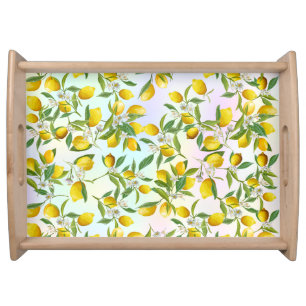 Tropical Citrus summer fresh Orange lemon Slice  Serving Tray