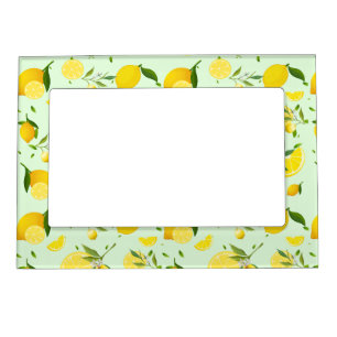 TROPICAL Citrus SUMMER FRUIT Orange lemons Slice  Magnetic Frame