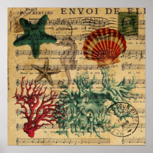 tropical coastal coral seashells seahorse poster