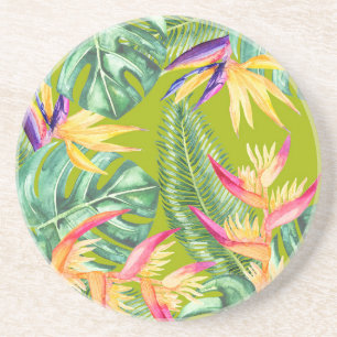 Tropical Coaster
