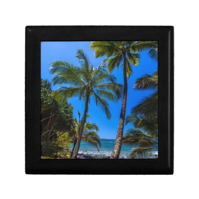 Tropical coastline 2 gift box (Front)