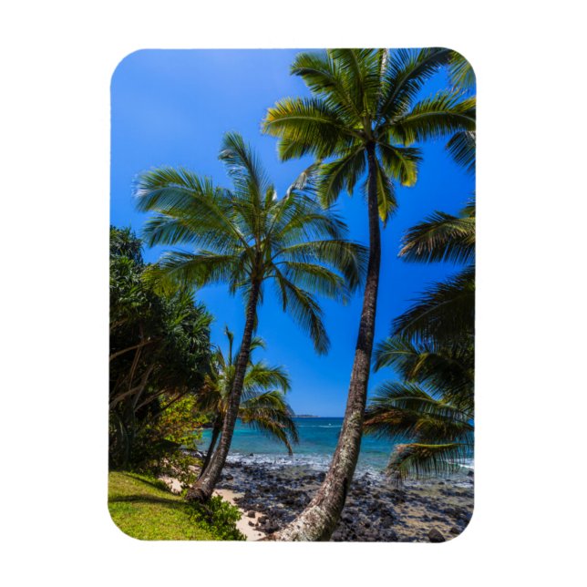 Tropical coastline 2 magnet (Vertical)