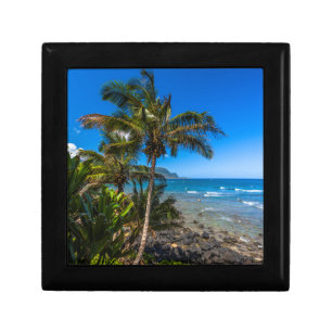Tropical coastline gift box
