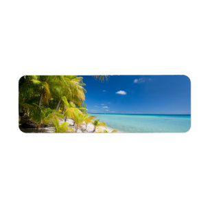Tropical coastline label