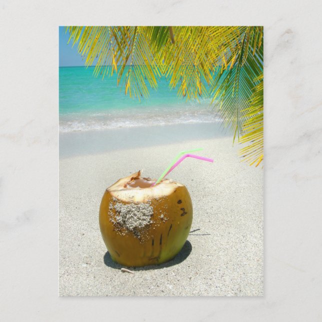 Tropical coconut on a beach in the Caribbean Postcard (Front)