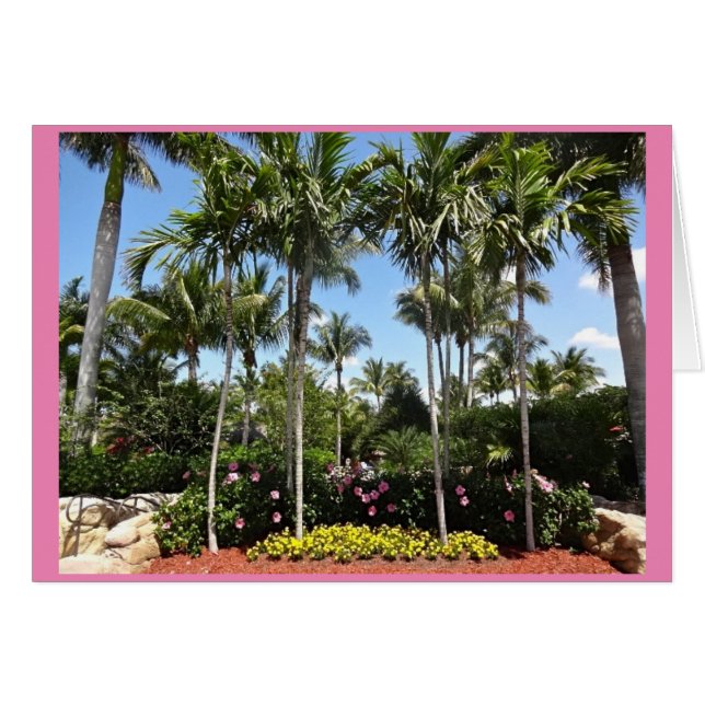 Tropical Coconut Plantation Bonita Springs Florida (Front Horizontal)