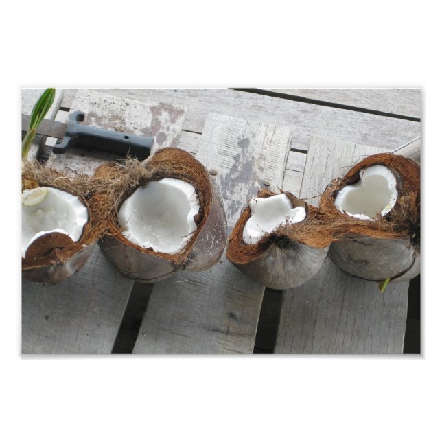 Tropical Coconuts, Bocas del Toro, Panama [Photo] Photo Print (Front)