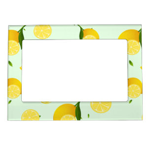 Tropical colorful Citrus SUMMER Orange lemon Slice Magnetic Frame