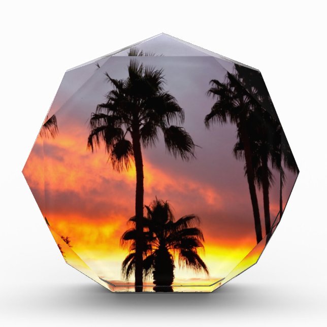 Tropical Colorful Storm Award (Front)