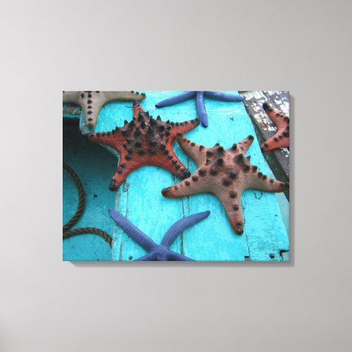Tropical colouful starfish canvas print