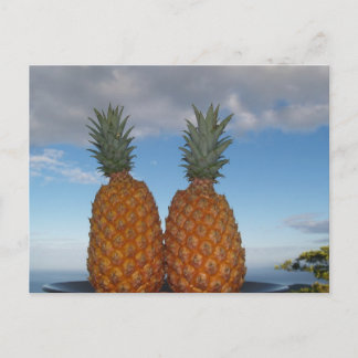 Tropical Couple Postcard