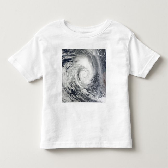 Tropical Cyclone Dianne 2 Toddler T-shirt (Front)