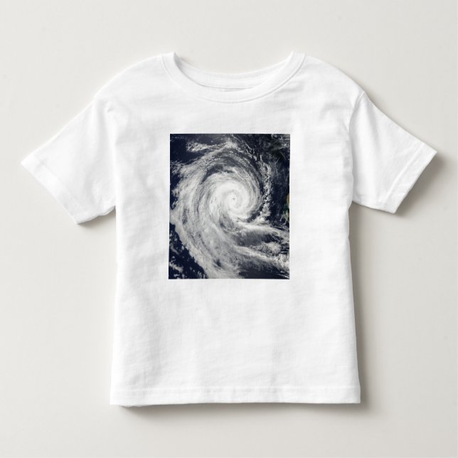 Tropical Cyclone Dianne Toddler T-shirt (Front)