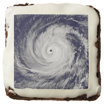 Tropical Cyclones Brownie by GigaPacket at Zazzle