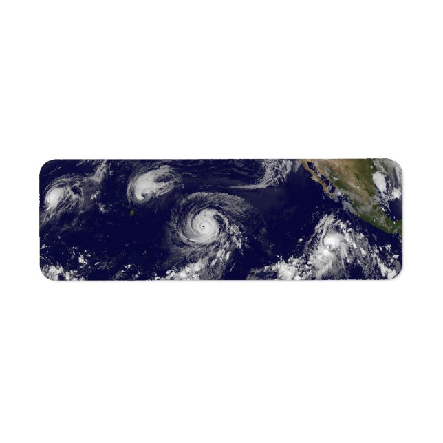 Tropical Cyclones Label (Front)