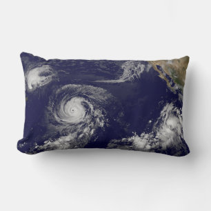 Tropical Cyclones Lumbar Pillow