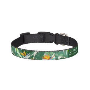 Tropical Dog Collar with Name and Phone Number