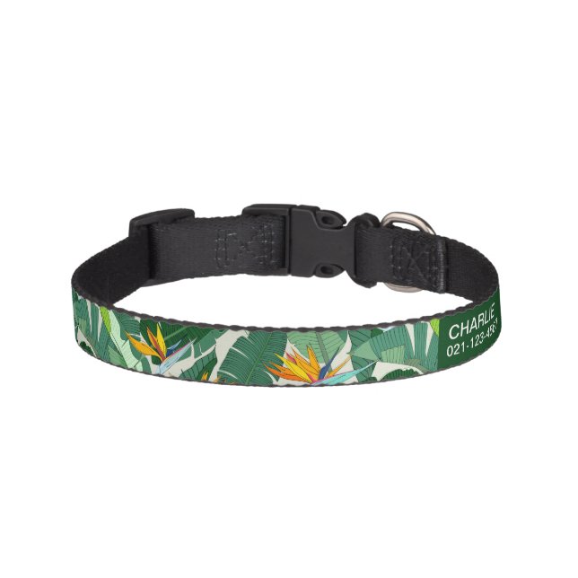 Tropical Dog Collar with Name and Phone Number (Front)