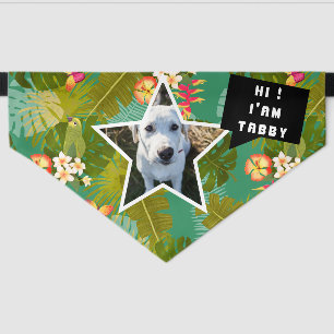 Tropical Dog Photo Words Green Personalized Pet Bandana Collar