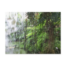 Tropical dream