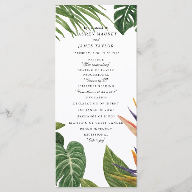 Tropical Dream Program (Front)