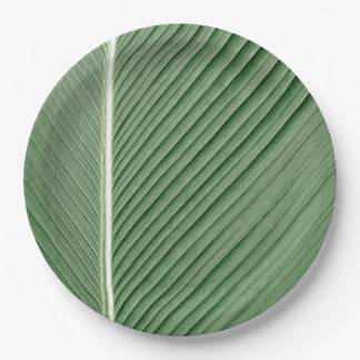 Tropical Elegance - Coconut Leaf Design Paper Plat Paper Plates