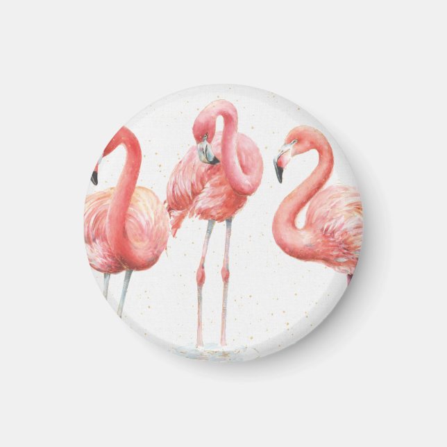 Tropical | Family of Flamingos Magnet (Front)