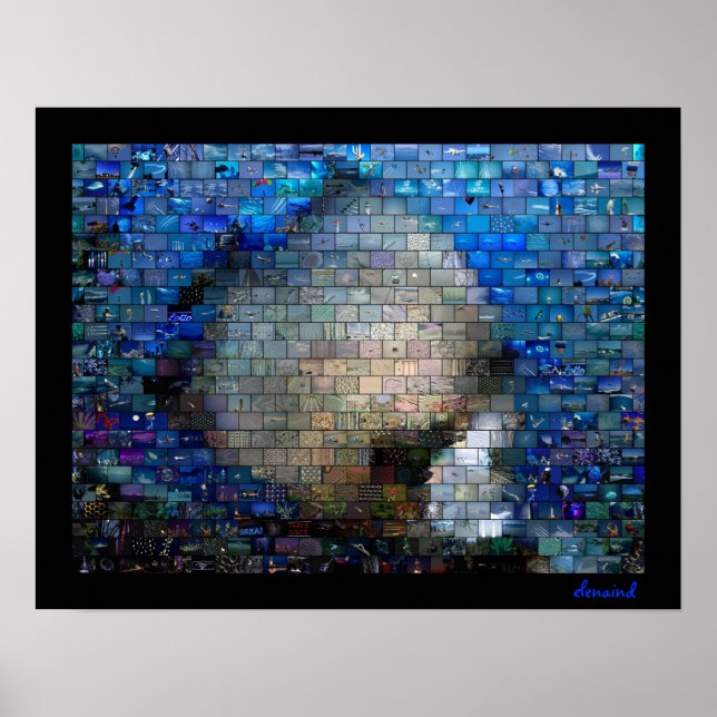 Tropical Fish 2 Mosaic Poster (Front)