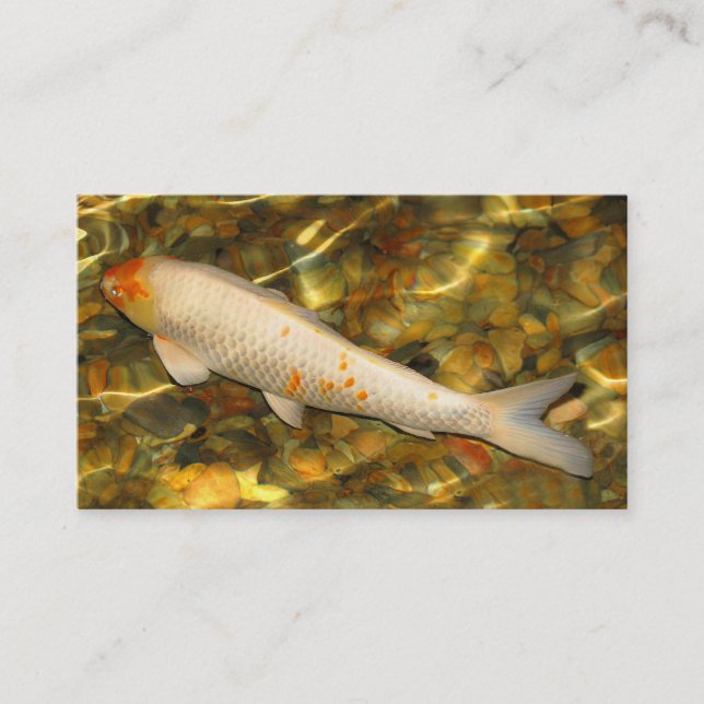 Tropical Fish and Aquarium Supplies Business Card (Front)