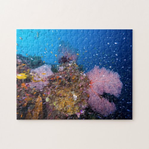 Tropical Fish and Coral Fans Jigsaw Puzzle