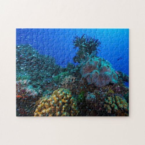 Tropical Fish and Coral Reef Jigsaw Puzzle