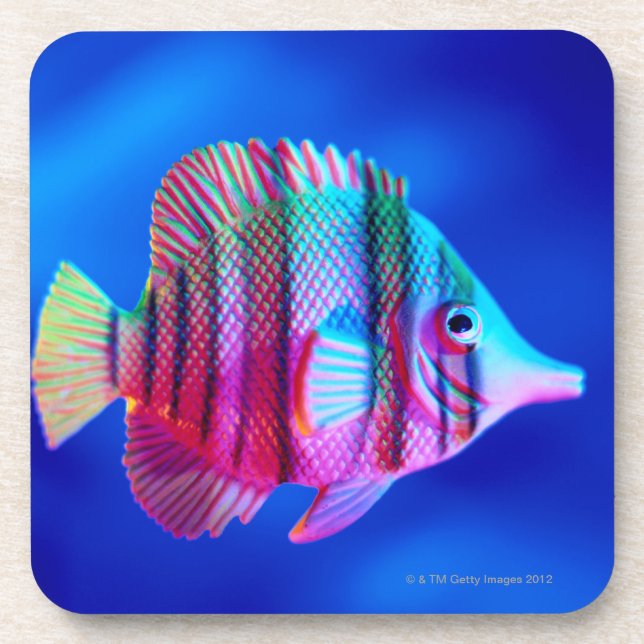 Tropical Fish Beverage Coaster (Front)