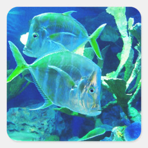 Tropical Fish, Blue and Green, Square Sticker