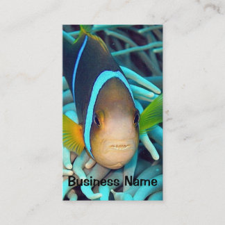 Tropical Fish Business Card