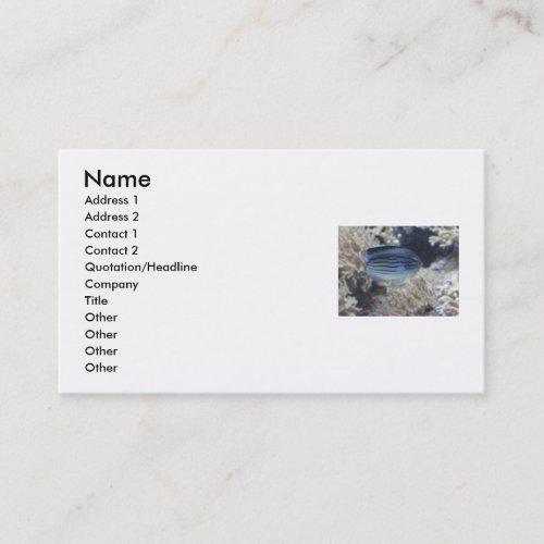 Tropical Fish Business Cards