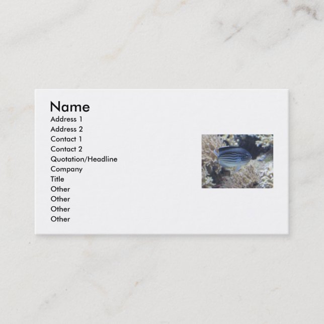 Tropical Fish Business Cards (Front)