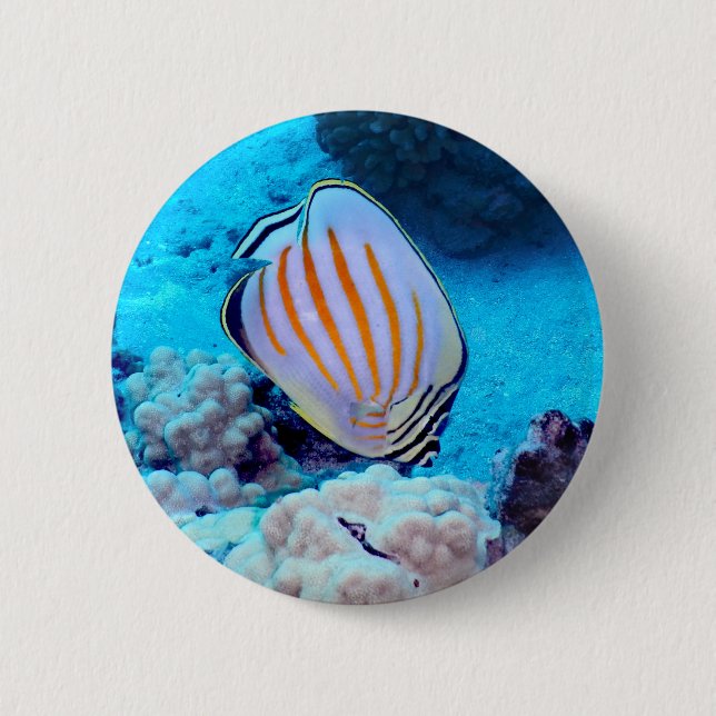 Tropical Fish Button (Front)