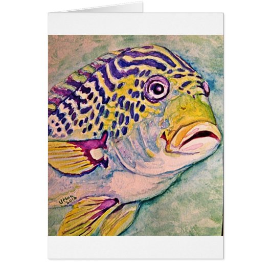 tropical fish cards (Front)