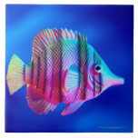 Tropical Fish Ceramic Tile<br><div class="desc">Tropical Fish | Lawrence Lawry | AssetID: WL004139</div>