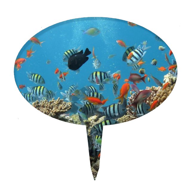 Tropical Fish Chaos Cake Topper (Front)