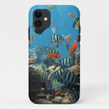 Tropical Fish Chaos Iphone 11 Case by beachcafe at Zazzle