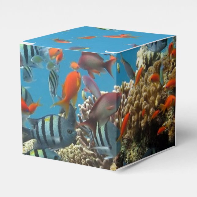 Tropical Fish Chaos Favor Boxes (Front Side)
