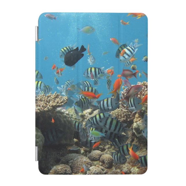Tropical Fish Chaos iPad Mini Cover (Front)