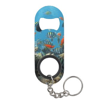 Tropical Fish Chaos Keychain Bottle Opener by beachcafe at Zazzle