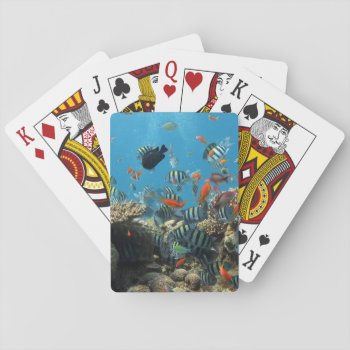 Tropical Fish Chaos Playing Cards by beachcafe at Zazzle