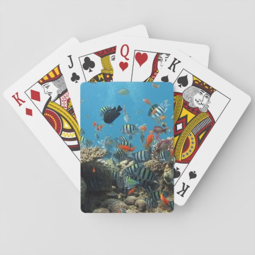 Tropical Fish Chaos Poker Cards