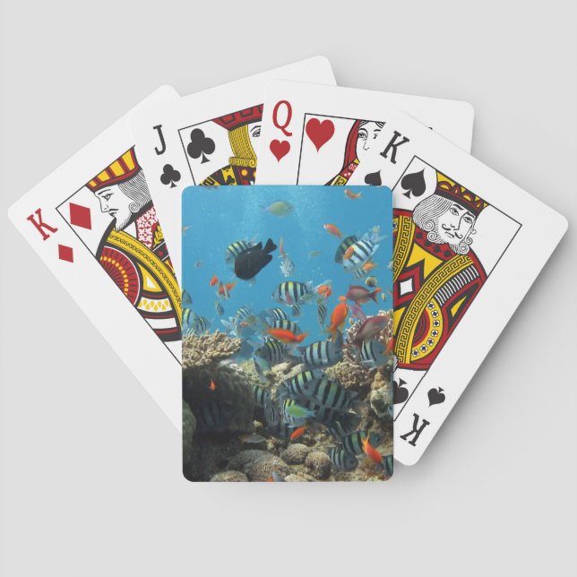 Tropical Fish Chaos Poker Cards (Back)