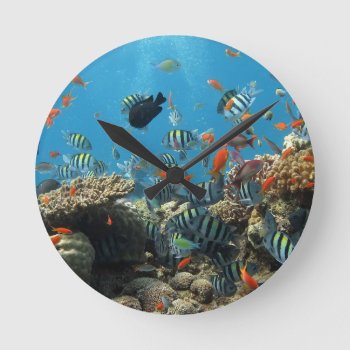 Tropical Fish Chaos Round Clock by beachcafe at Zazzle