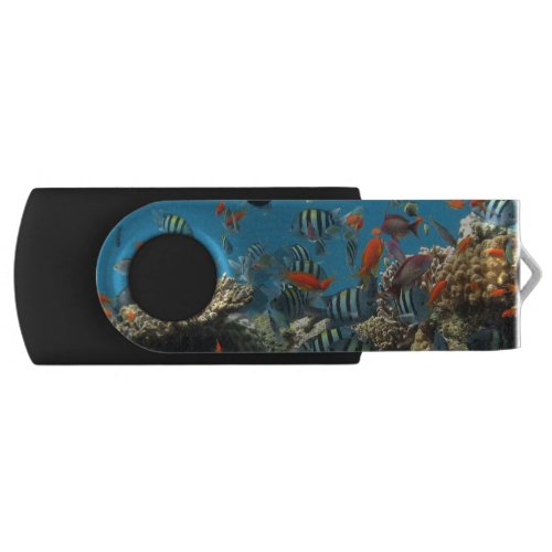 Tropical Fish Chaos USB Flash Drive